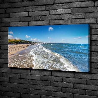 Canvas wall art Baltic Sea