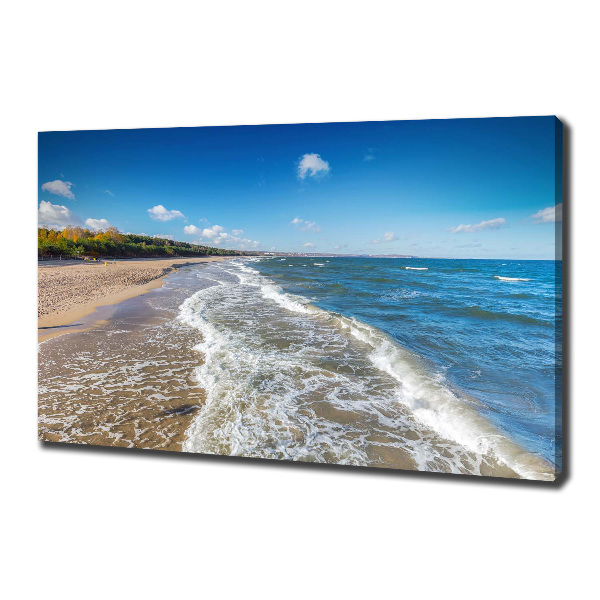 Canvas wall art Baltic Sea