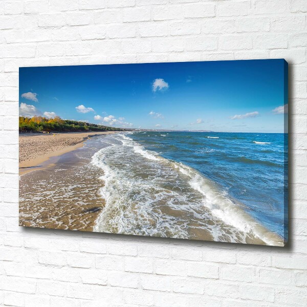 Canvas wall art Baltic Sea