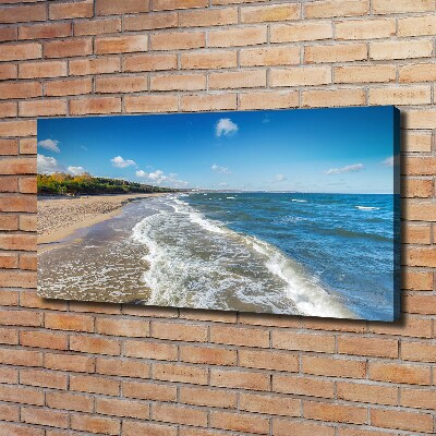 Canvas wall art Baltic Sea