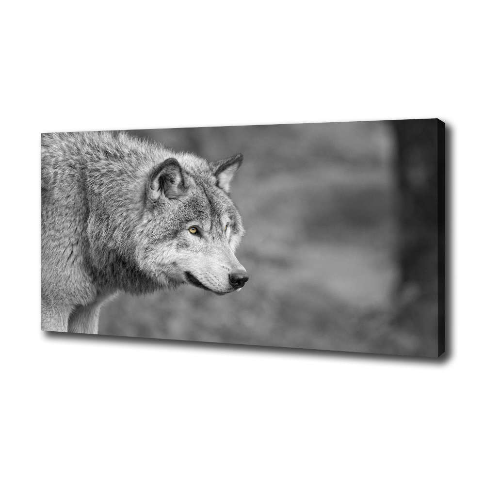 Canvas wall art Gray wolf