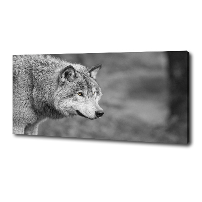 Canvas wall art Gray wolf