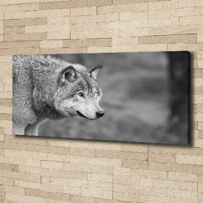 Canvas wall art Gray wolf