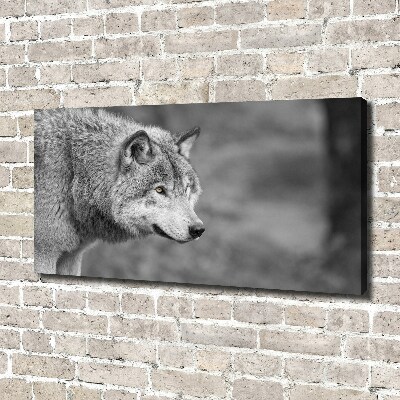 Canvas wall art Gray wolf