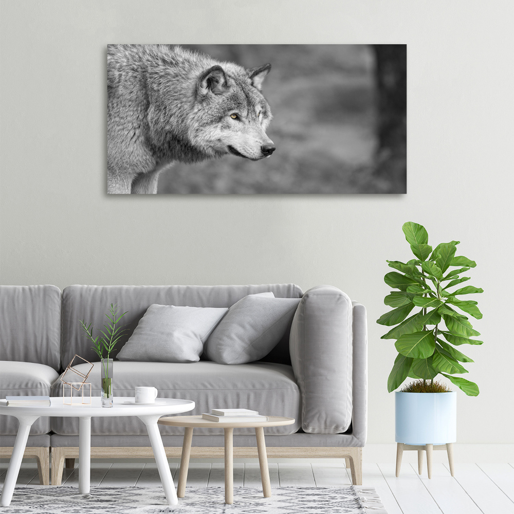 Canvas wall art Gray wolf