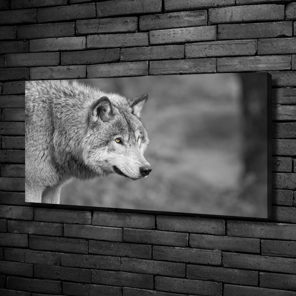 Canvas wall art Gray wolf