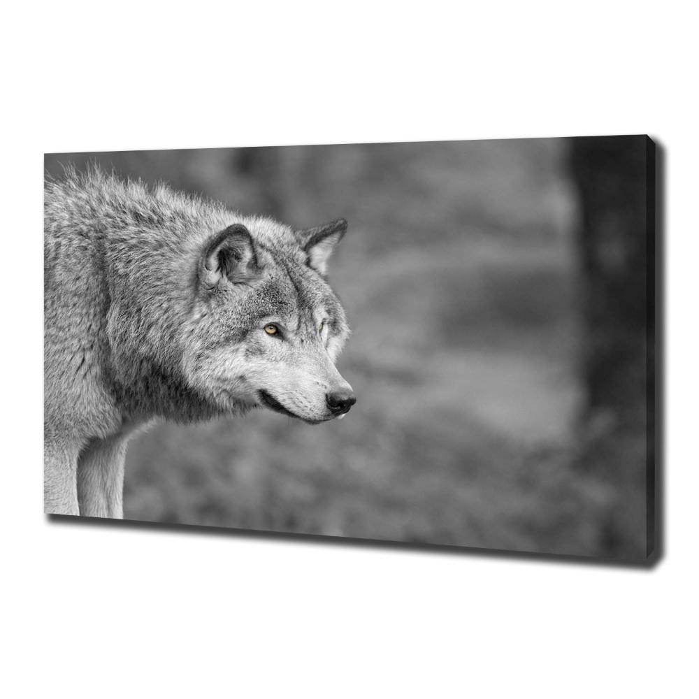 Canvas wall art Gray wolf