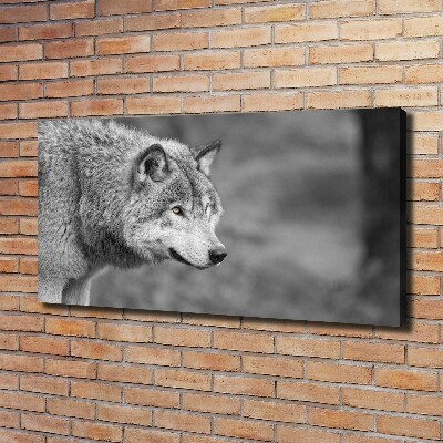 Canvas wall art Gray wolf