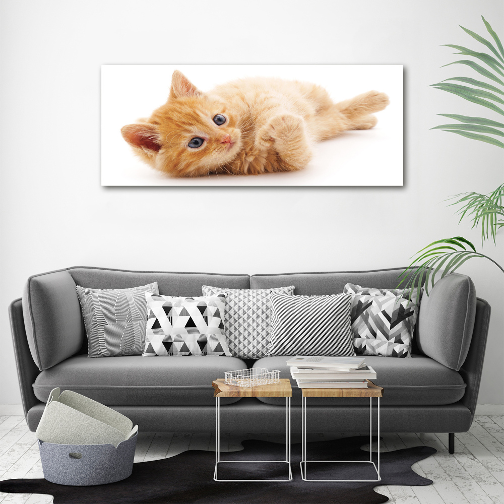 Canvas wall art Red Cat