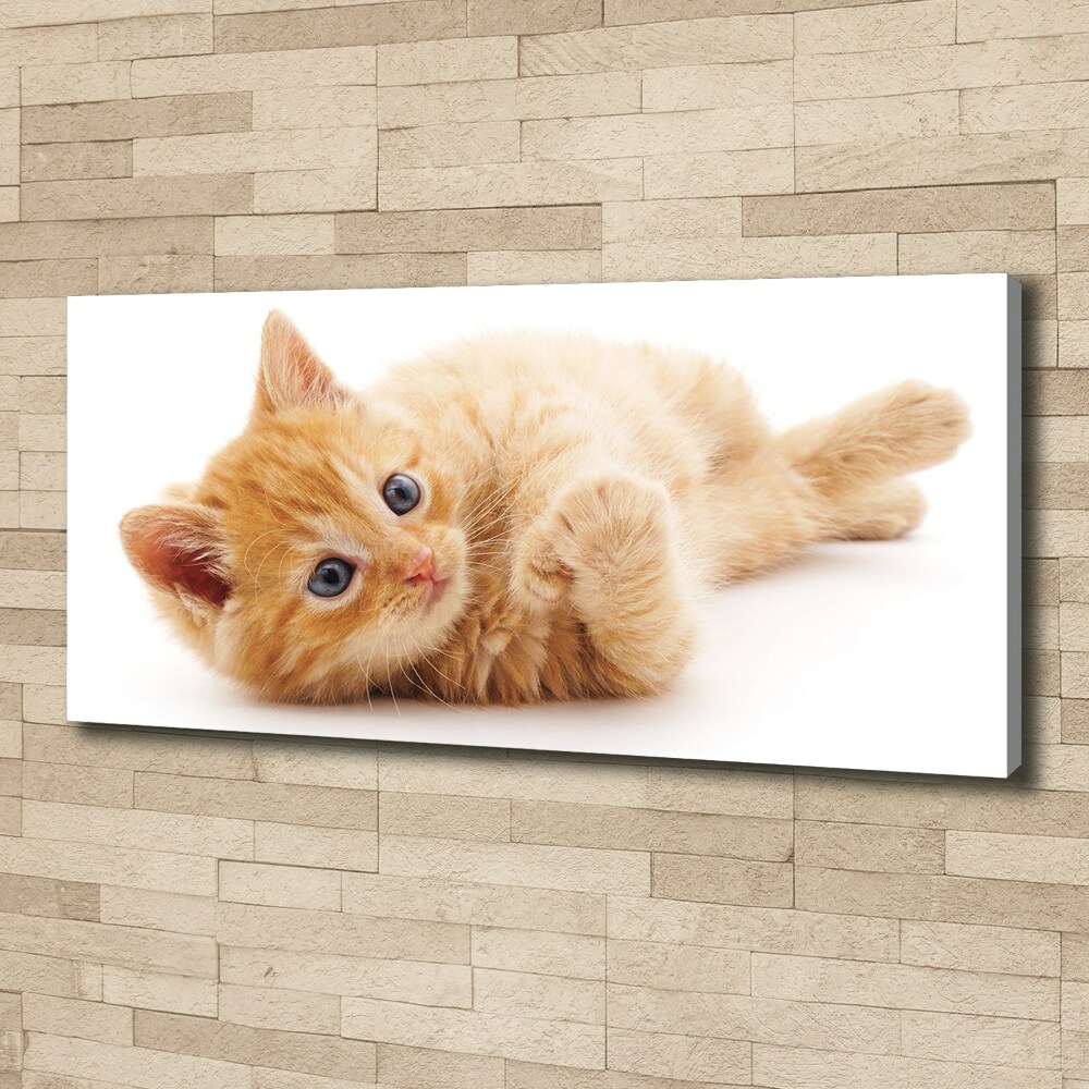 Canvas wall art Red Cat