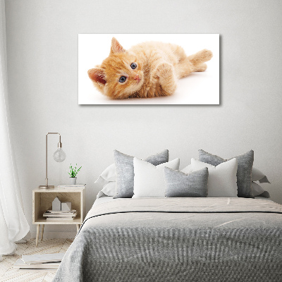 Canvas wall art Red Cat