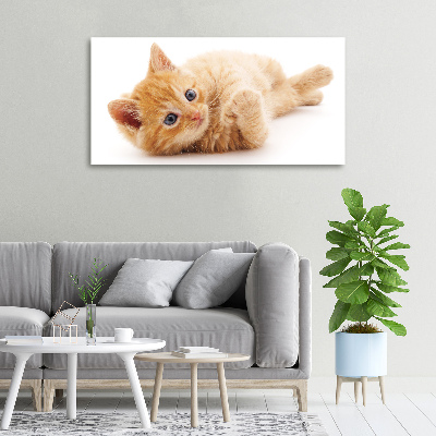 Canvas wall art Red Cat