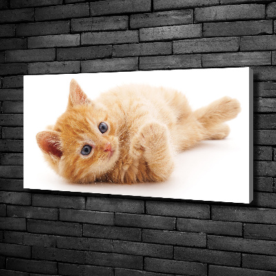 Canvas wall art Red Cat