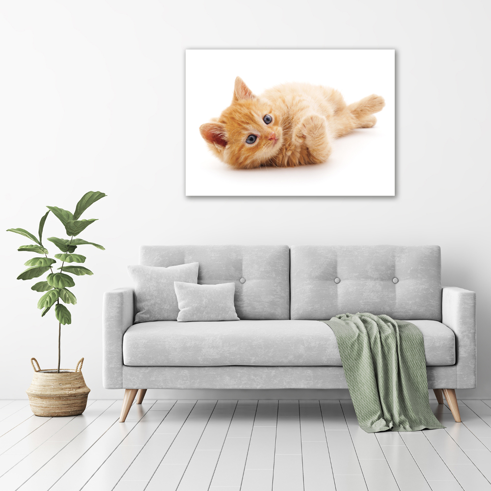 Canvas wall art Red Cat