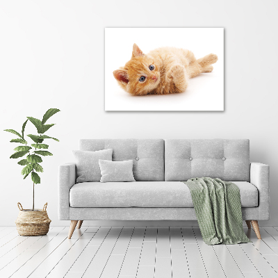 Canvas wall art Red Cat