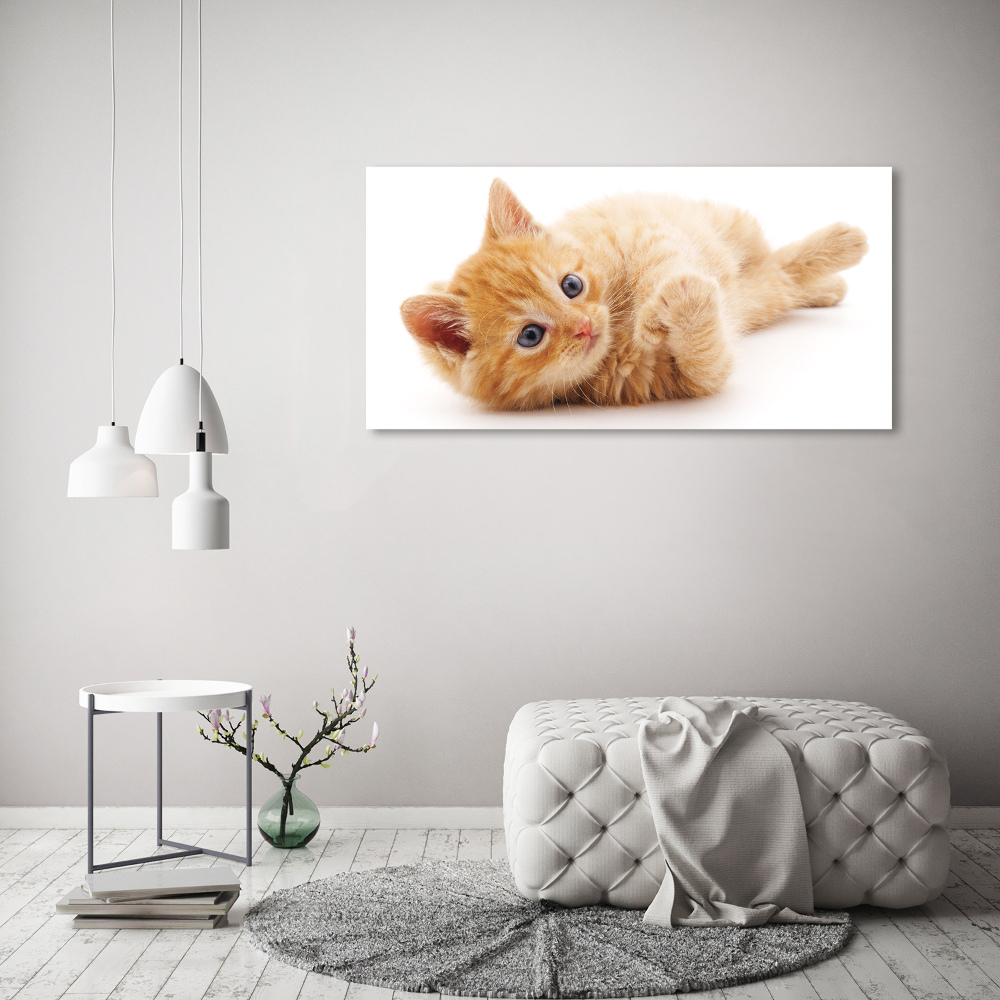 Canvas wall art Red Cat