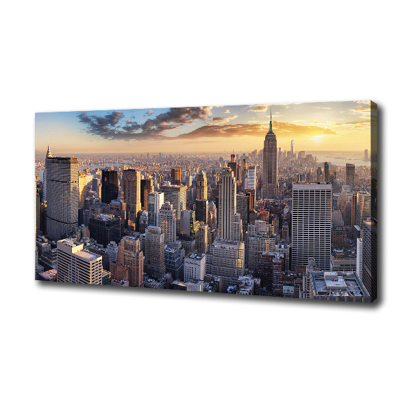 Canvas wall art New York Bird Lot