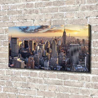 Canvas wall art New York Bird Lot