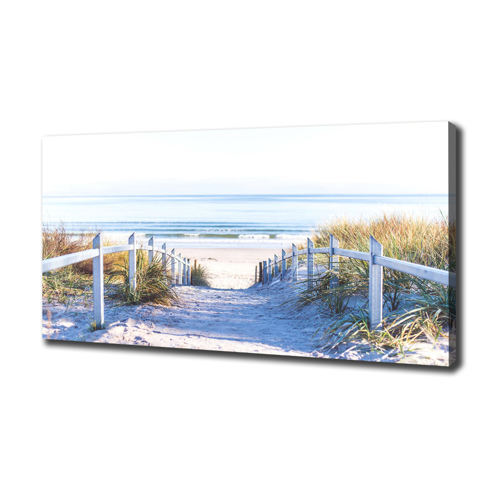 Canvas wall art Coastal dunes