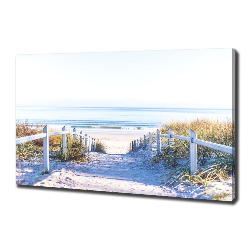 Canvas wall art Coastal dunes