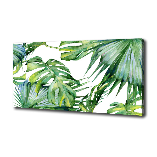 Tropical leaves