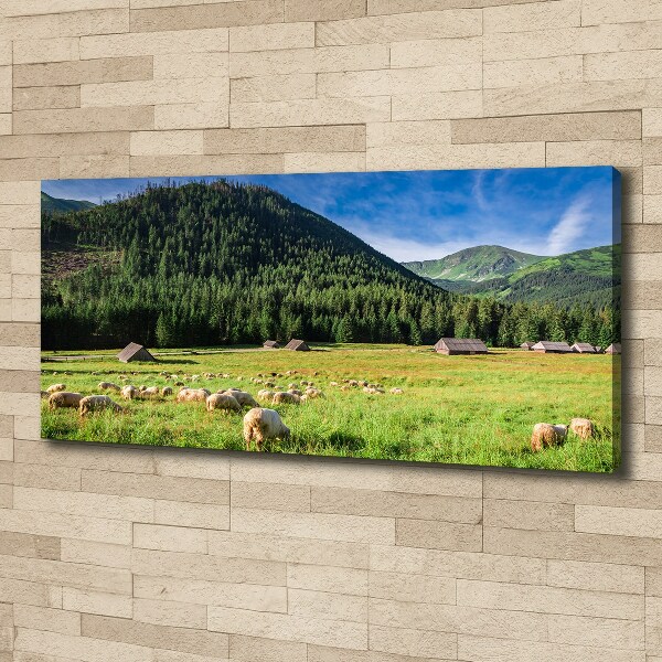 Canvas wall art Sheep in the Tatra Mountains