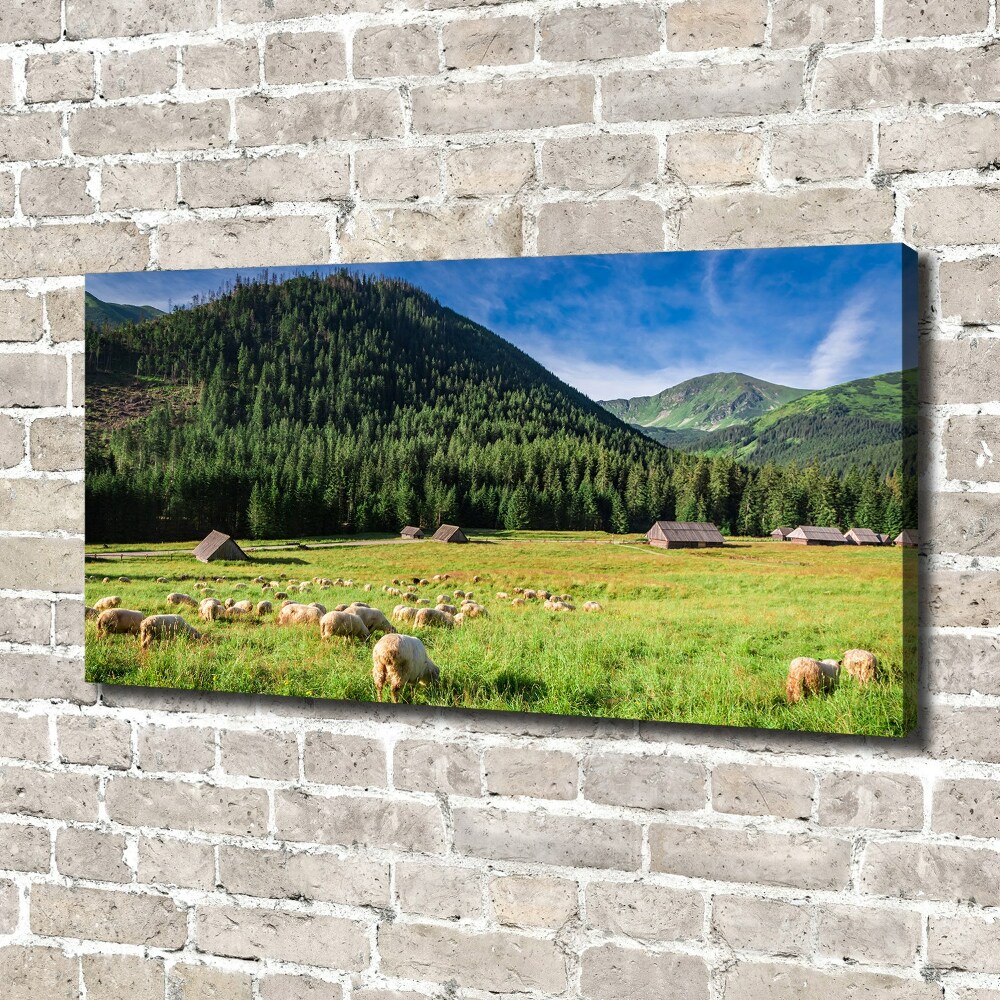 Canvas wall art Sheep in the Tatra Mountains