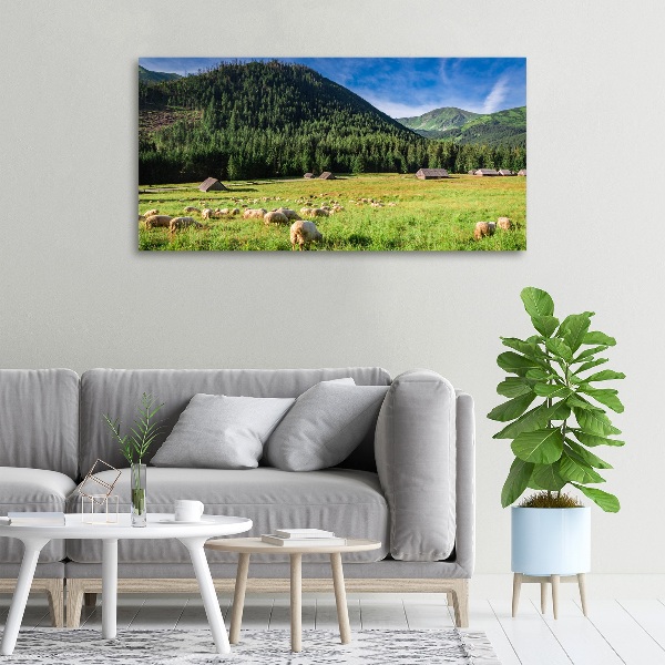 Canvas wall art Sheep in the Tatra Mountains