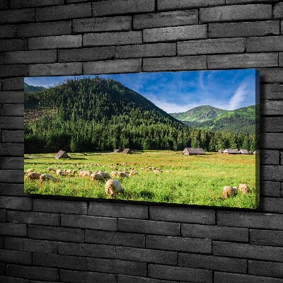 Canvas wall art Sheep in the Tatra Mountains