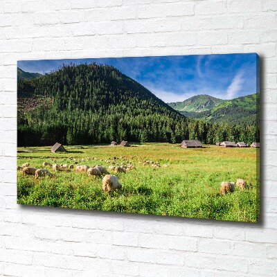 Canvas wall art Sheep in the Tatra Mountains