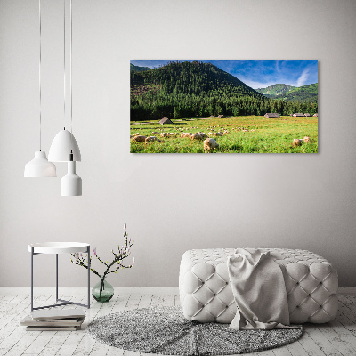 Canvas wall art Sheep in the Tatra Mountains