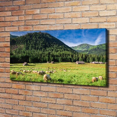 Canvas wall art Sheep in the Tatra Mountains