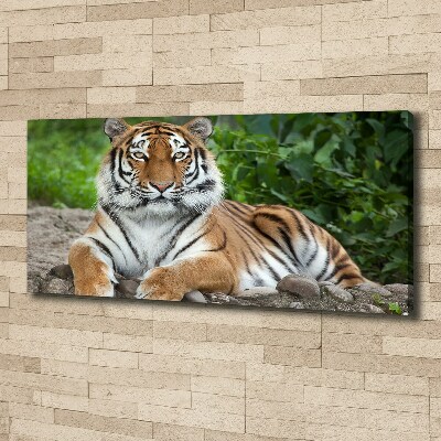 Canvas wall art Siberian tiger