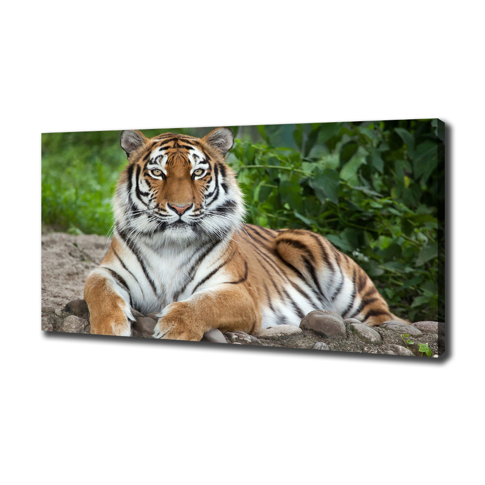 Canvas wall art Siberian tiger