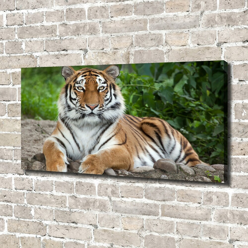 Canvas wall art Siberian tiger