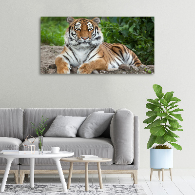 Canvas wall art Siberian tiger