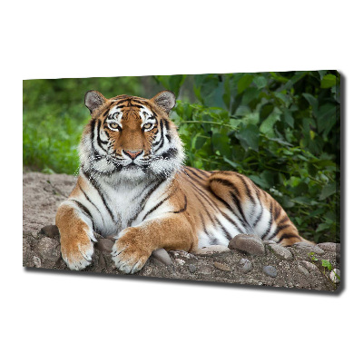 Canvas wall art Siberian tiger