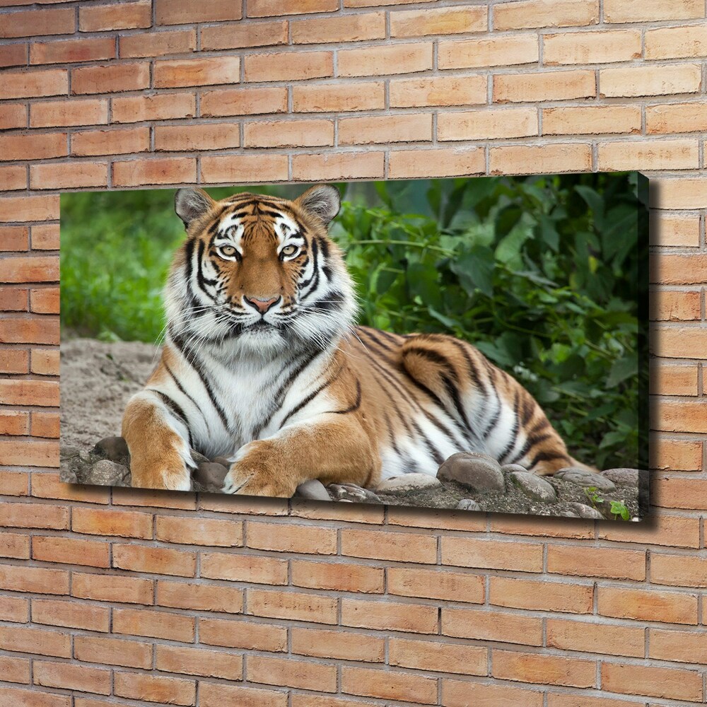 Canvas wall art Siberian tiger