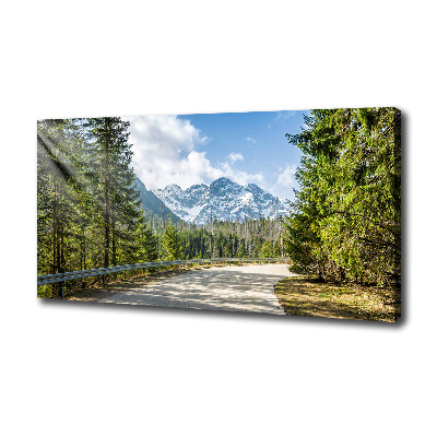 Canvas wall art Road of the Tatra Mountains