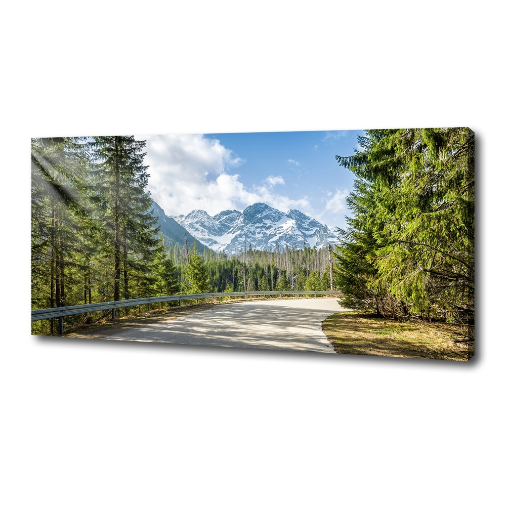 Canvas wall art Road of the Tatra Mountains