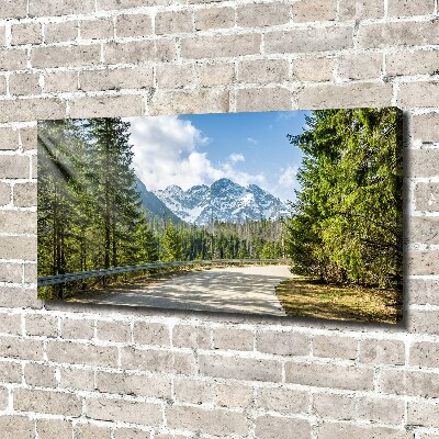 Canvas wall art Road of the Tatra Mountains