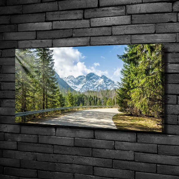 Canvas wall art Road of the Tatra Mountains