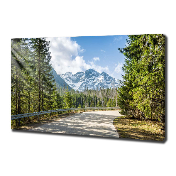 Canvas wall art Road of the Tatra Mountains