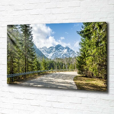 Canvas wall art Road of the Tatra Mountains