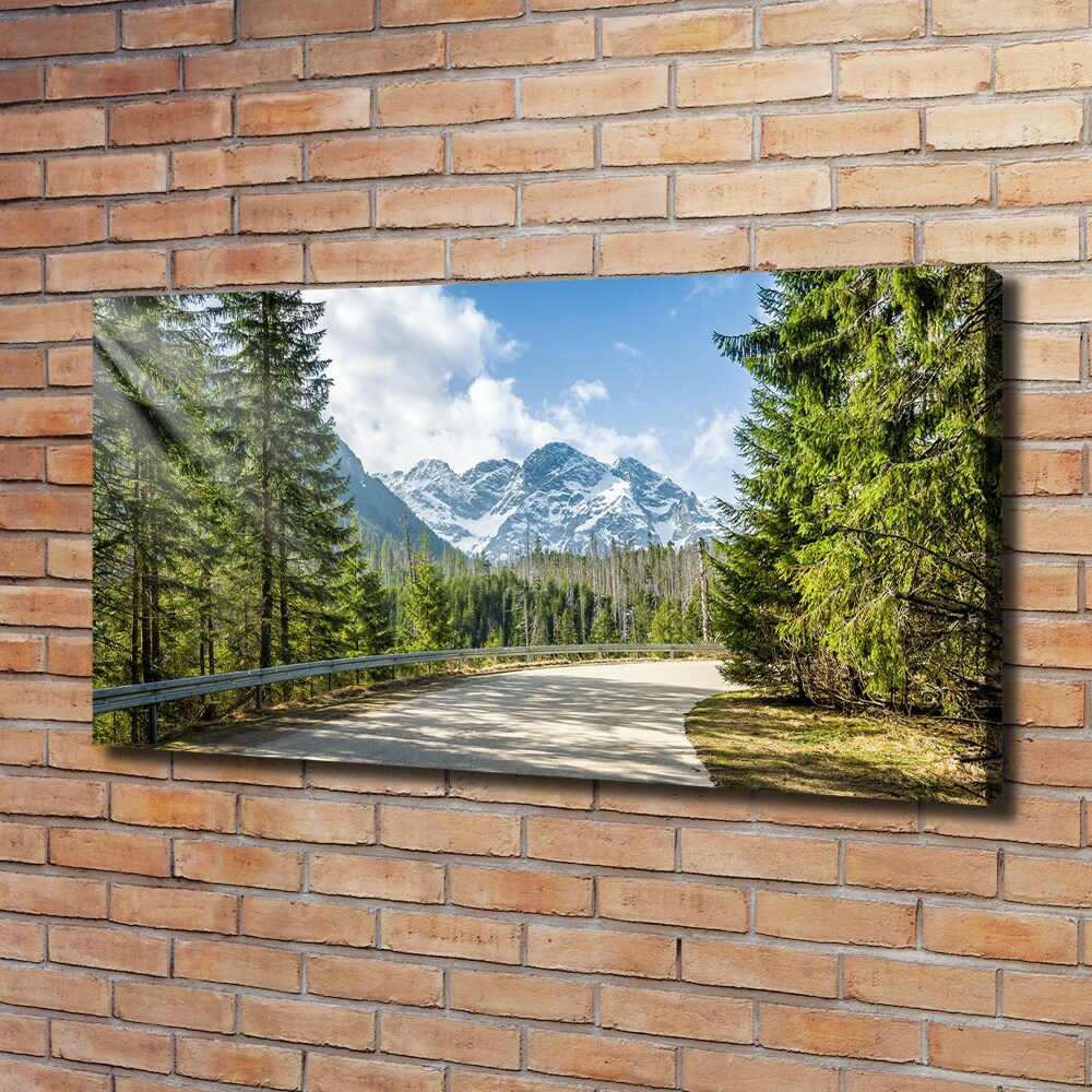 Canvas wall art Road of the Tatra Mountains