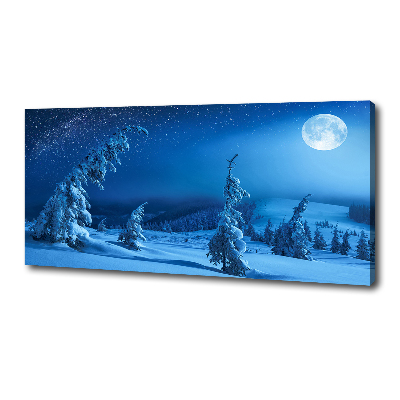 Canvas wall art Moonlight