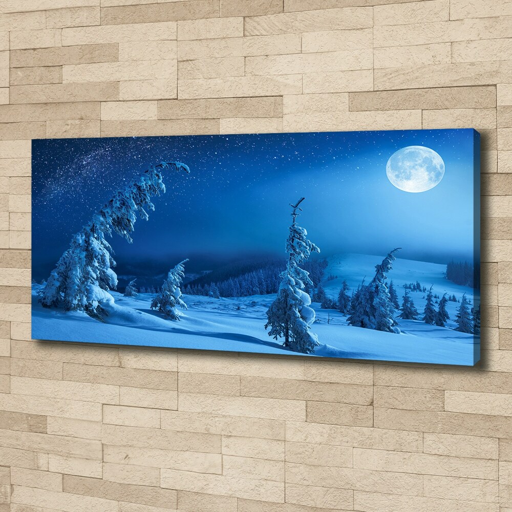 Canvas wall art Moonlight