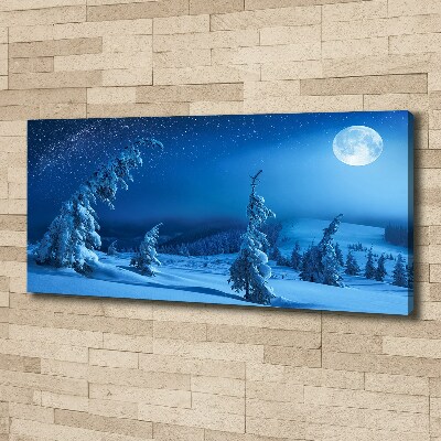 Canvas wall art Moonlight