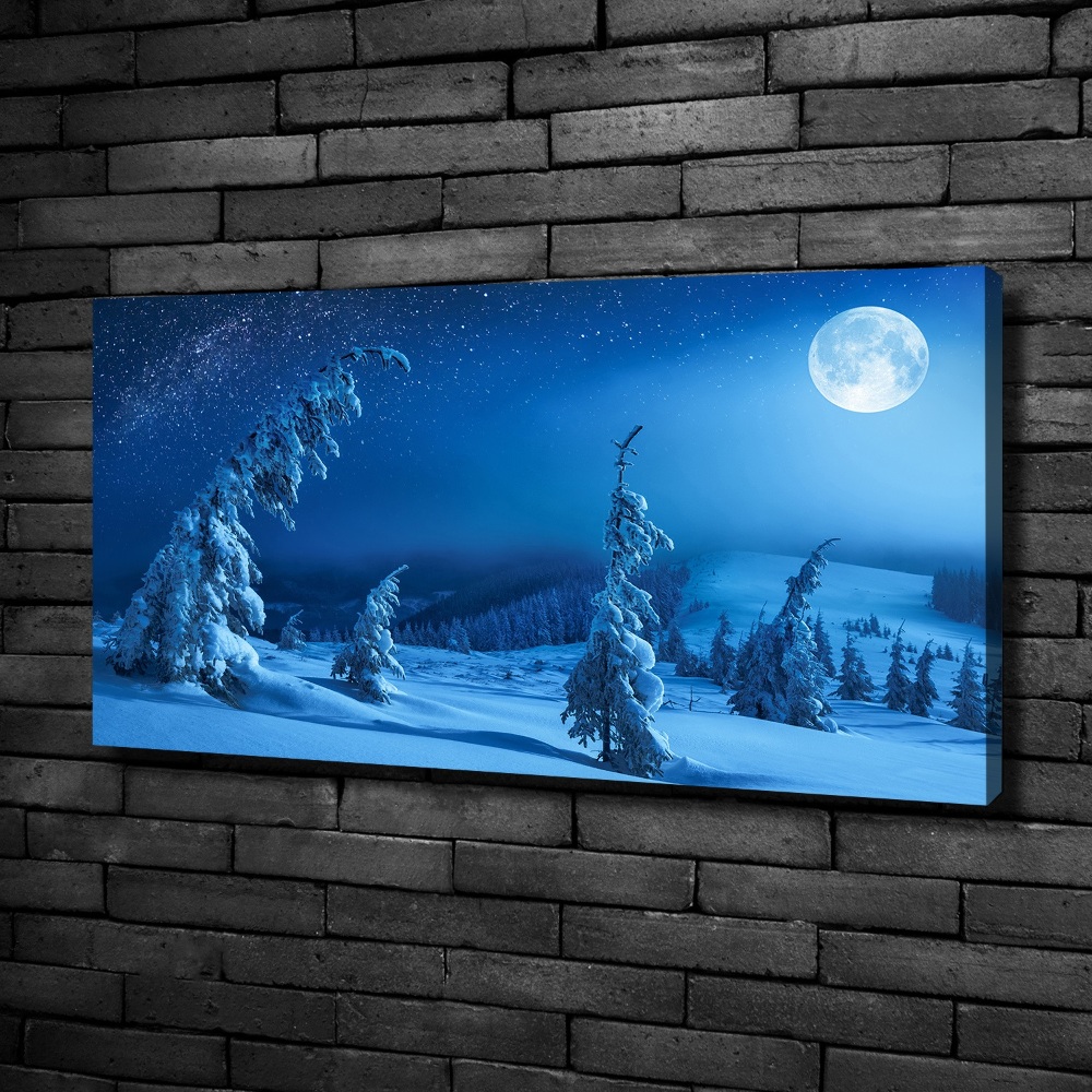 Canvas wall art Moonlight