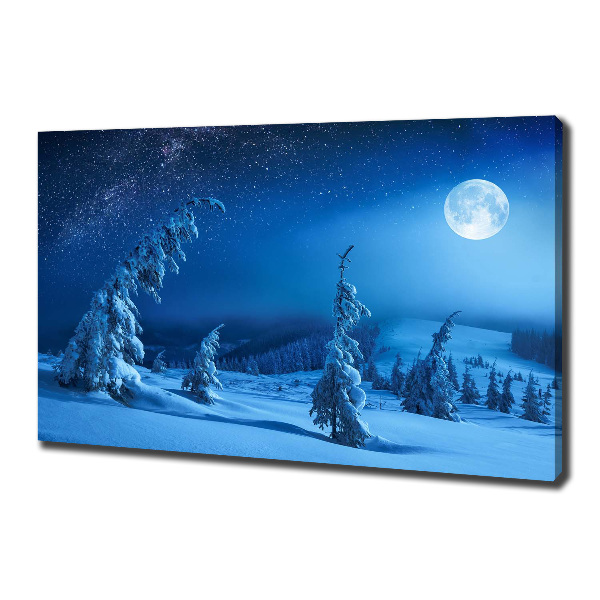 Canvas wall art Moonlight